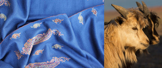Pashmina’s Past Imperfect, Present Tense: Threads of Uncertainty