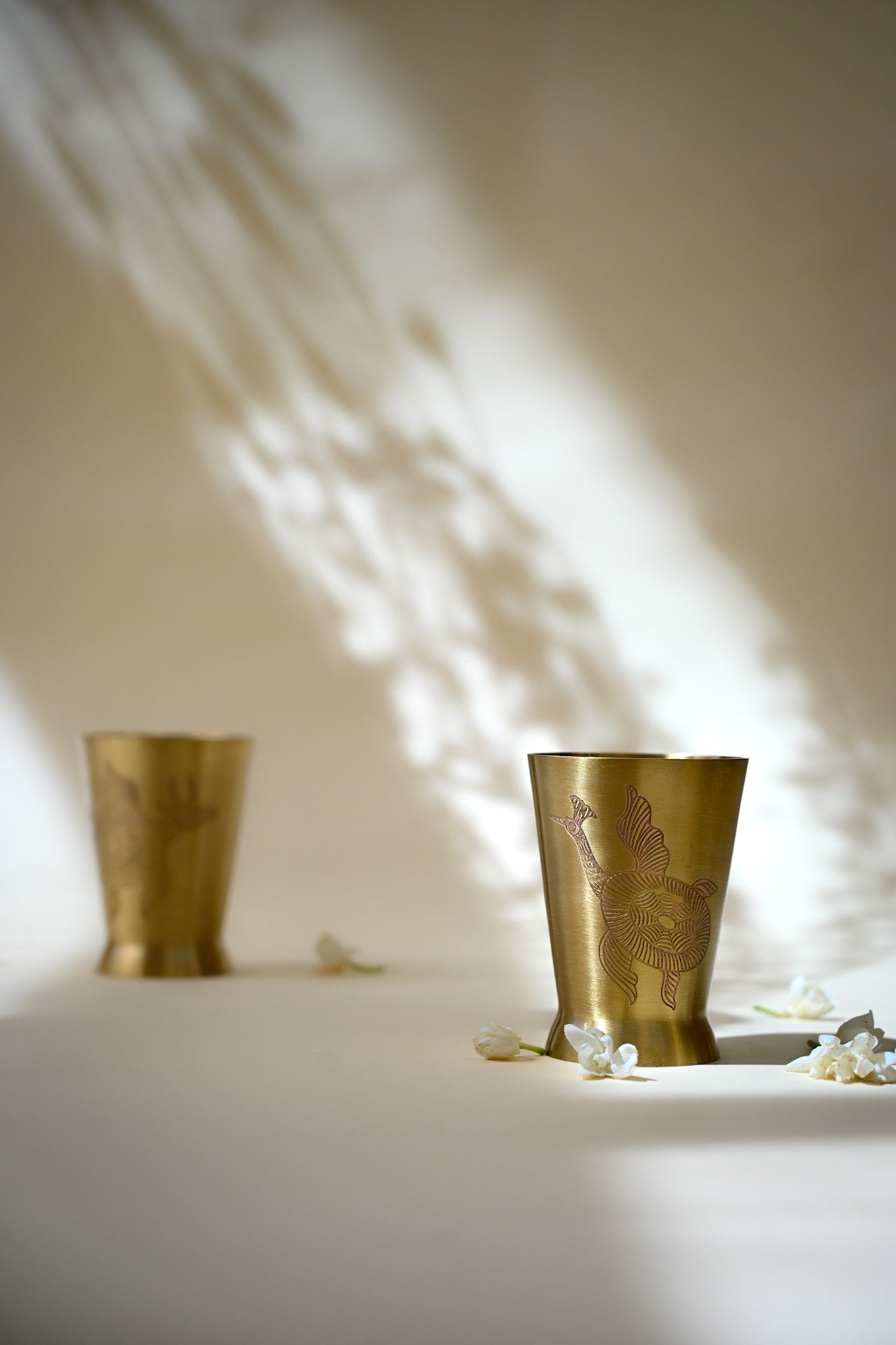 Gond Gift Box | Set of 2 | Handcrafted Brass Glasses