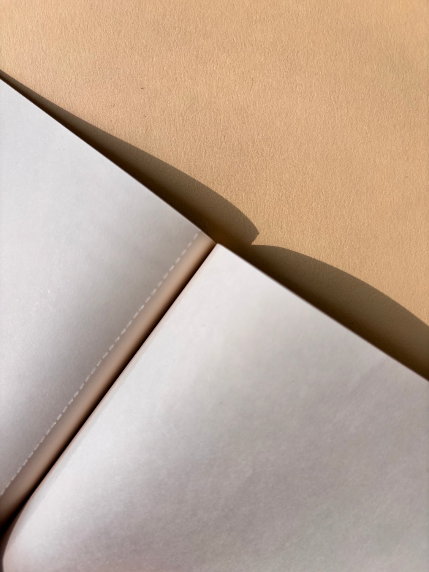 Arth Notepad | Gond Leopard | Gond Art