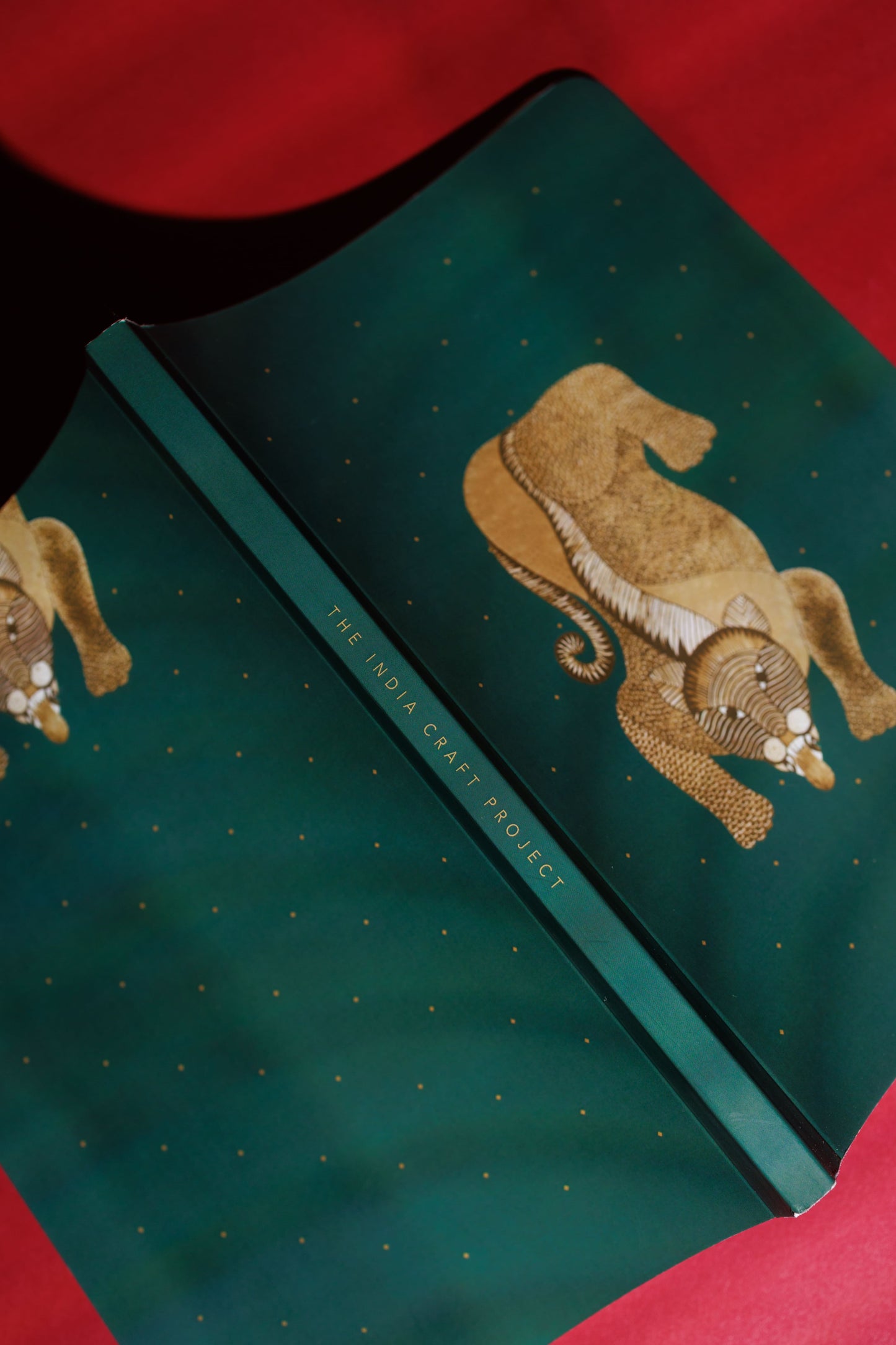 Arth Diary | Gond Leopard | Gond Art