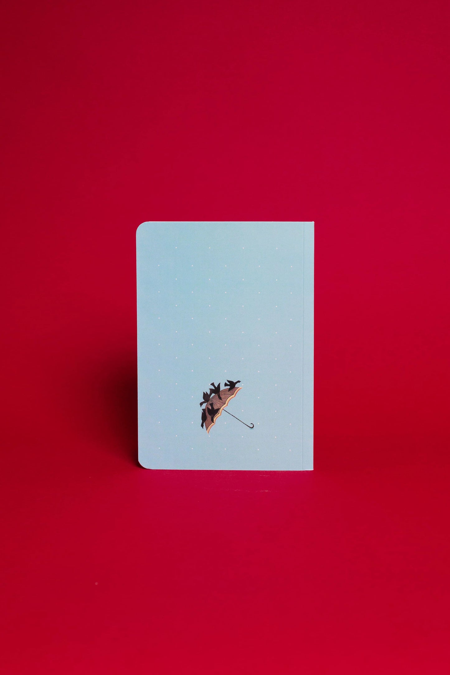 Arth Diary | Monsoon Gaze | Kalighat Art